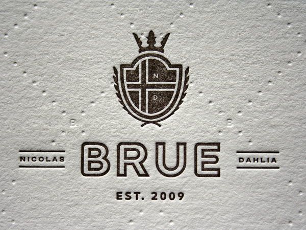 bruesavedatelogo bruesavedatelogo