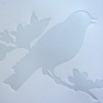 _0004_aiga_portfolio_bird _0004_aiga_portfolio_bird