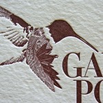 _0002_portillo_janssen_hummingbird _0002_portillo_janssen_hummingbird