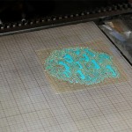 _0003_aiga_studio_on_fire_tour_blue_plate _0003_aiga_studio_on_fire_tour_blue_plate