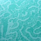 _0006_peiffer_weddding_letterpress_coral_pattern _0006_peiffer_weddding_letterpress_coral_pattern