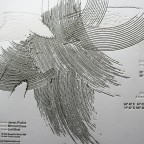 _0007_Taiga_Douglas_Quin_LP_record_letterpress_back_cover _0007_Taiga_Douglas_Quin_LP_record_letterpress_back_cover