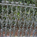 _0030_NewOrleans_ornamental_detail7 _0030_NewOrleans_ornamental_detail7