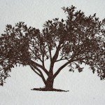 _0005_averbuch_wedding_tree1