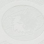 _0001_echo_timberwolves_logo