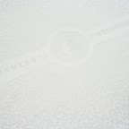 _0002_echo_timberwolves_back