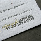 _0003_WestmorelandFlint_northernlights_letterpress_plantable_paper